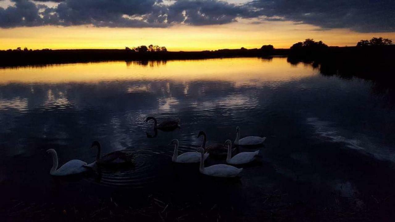 Отель Nefelejcs Vendeghaz Toalmas Экстерьер фото